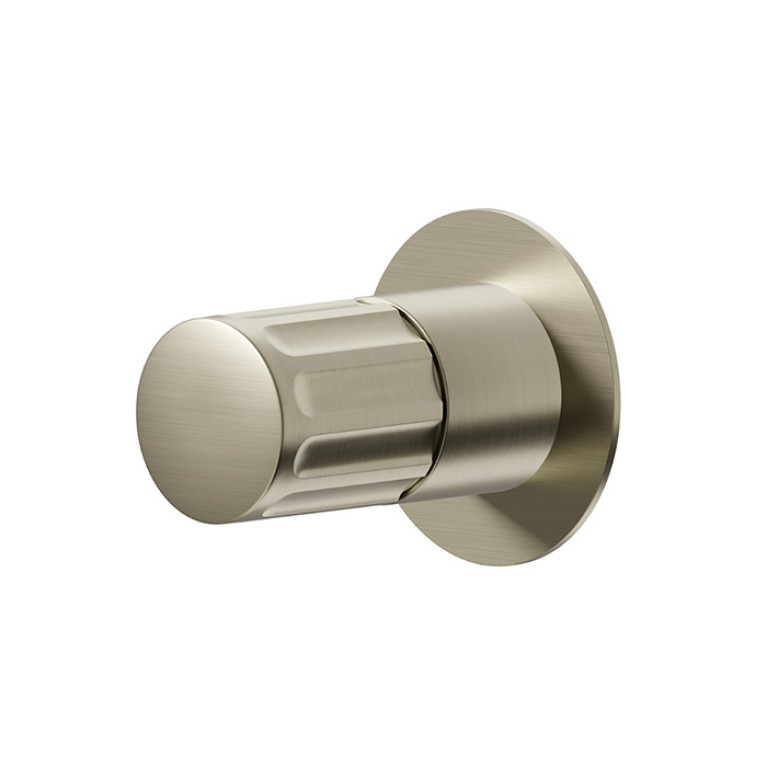 Newform Ionika bagno Внешняя часть-ручка прогрессивного смесителя , цвет: PVD brushed pale gold