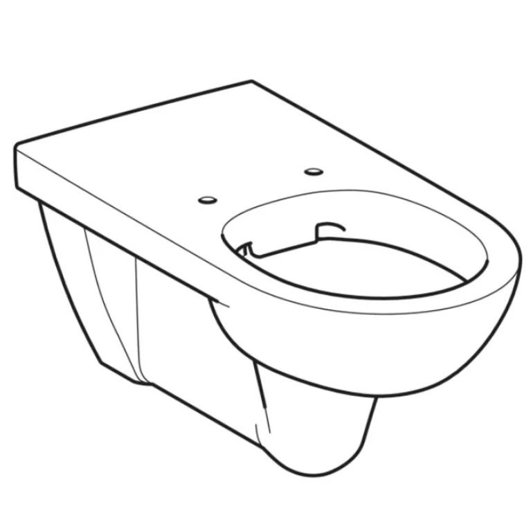 Geberit Selnova Comfort Унитаз подвесной 700x355 мм, безободковый, удлиненный вылет, для ММГН, цвет белый глянцевый (замена 500.791.01.1)