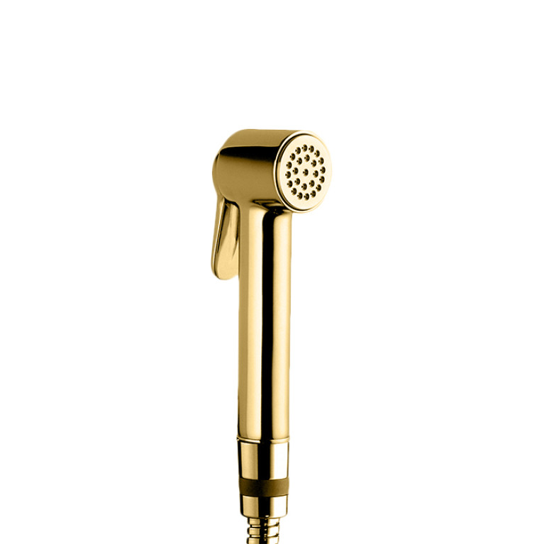 BOSSINI (PALOMA BRASS) Душевая лейка D 34 мм, с клапаном подачи, материал: латунь, цвет: Gold PVD