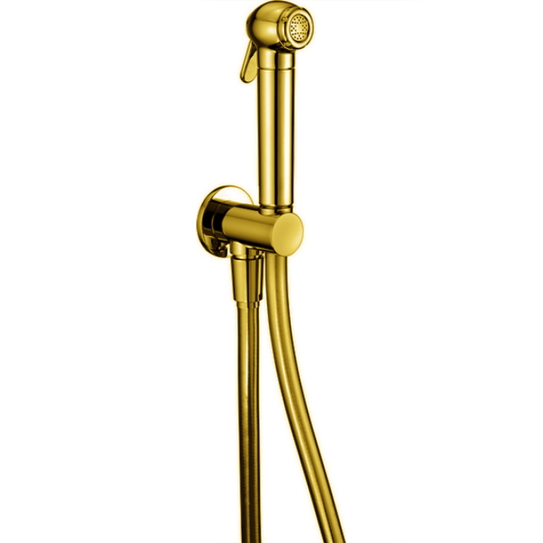 CISAL Shower Гигиенический душ со шлангом 120 см,вывод с держателем, цвет золото (акция на товар из наличия)