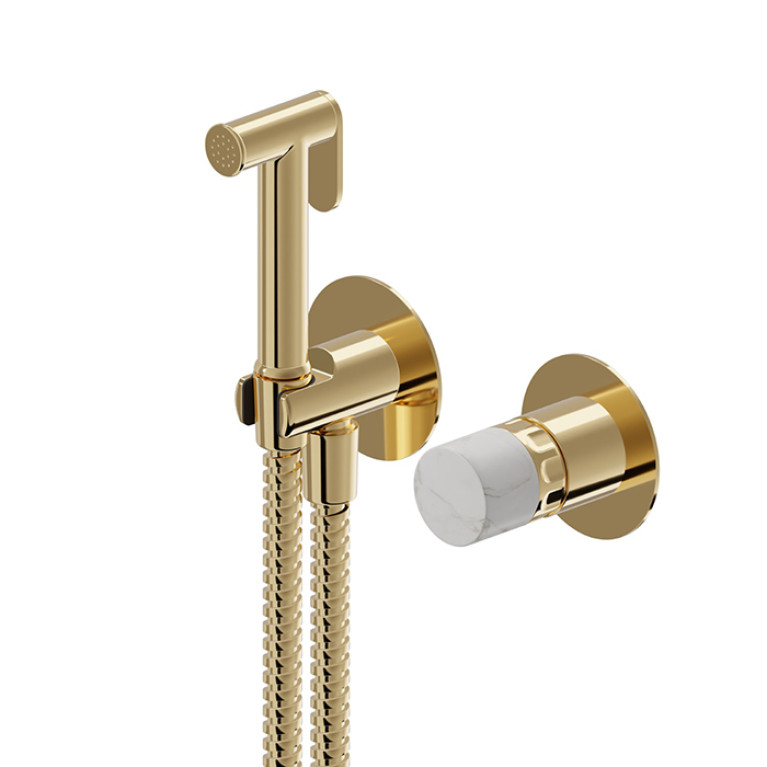 Newform Ionika allure bagno Внешняя часть прогрессивного смесителя с гигиеническим душем , цвет: PVD glossy gold