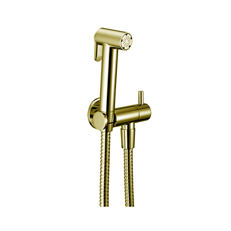 CISAL Shower Гигиенический душ со шлангом 120 см,вывод с держателем, цвет золото