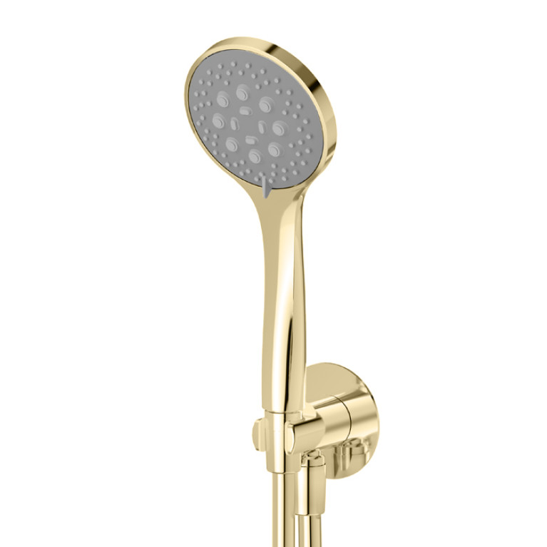 Newform Ручная лейка D 100мм, цвет: PVD Br. Pale Gold
