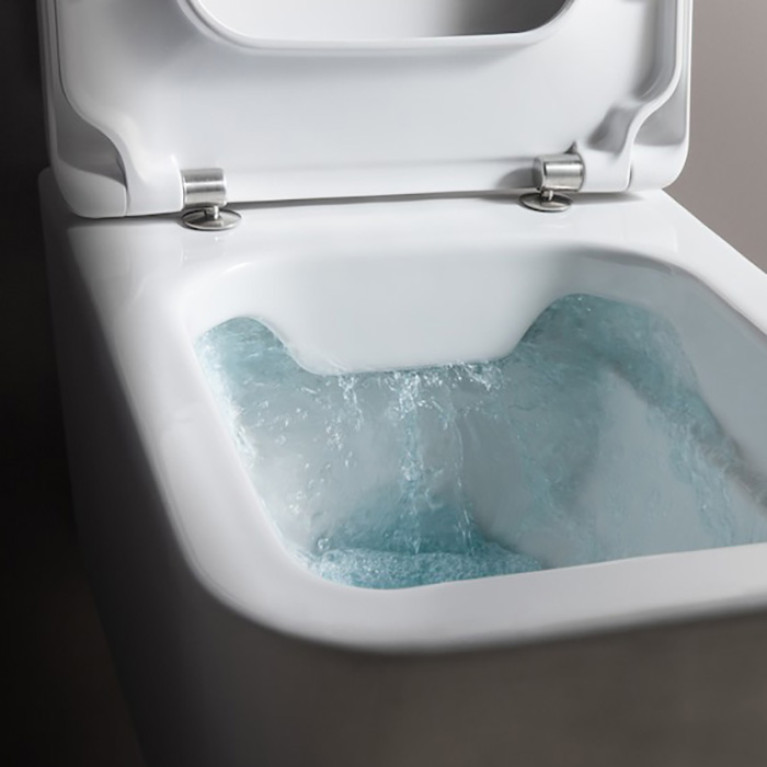LAUFEN Pro S Сиденье для унитаза для 8.2096.1/2, съемное, цвет белый/микролифт (со склада продаем ТОЛЬКО с унитазом 8.2096.2.000.000.1)