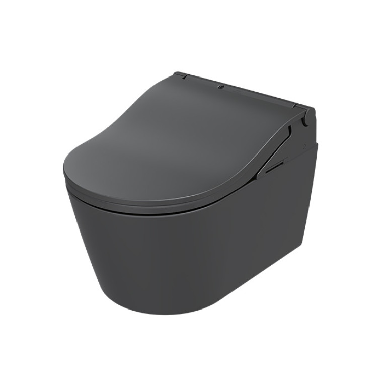 TOTO WASHLET RW Сиденье 579*391*108 мм, с дистанционным управлением, для унитаза CW542/CW563, цвет: черный матовый
