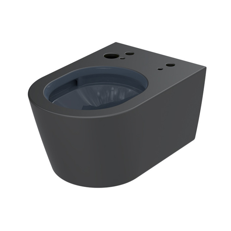 TOTO WASHLET RW Сиденье 579*391*108 мм, с дистанционным управлением, для унитаза CW542/CW563, цвет: черный матовый