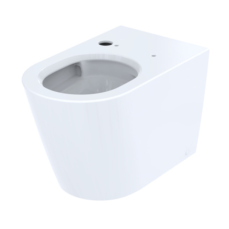 TOTO WASHLET RW  Сиденье 579*391*108мм, с дистанционным управлением и автосмывом, для унитаза CW542/CW563,  цвет: белый/отделка серебро