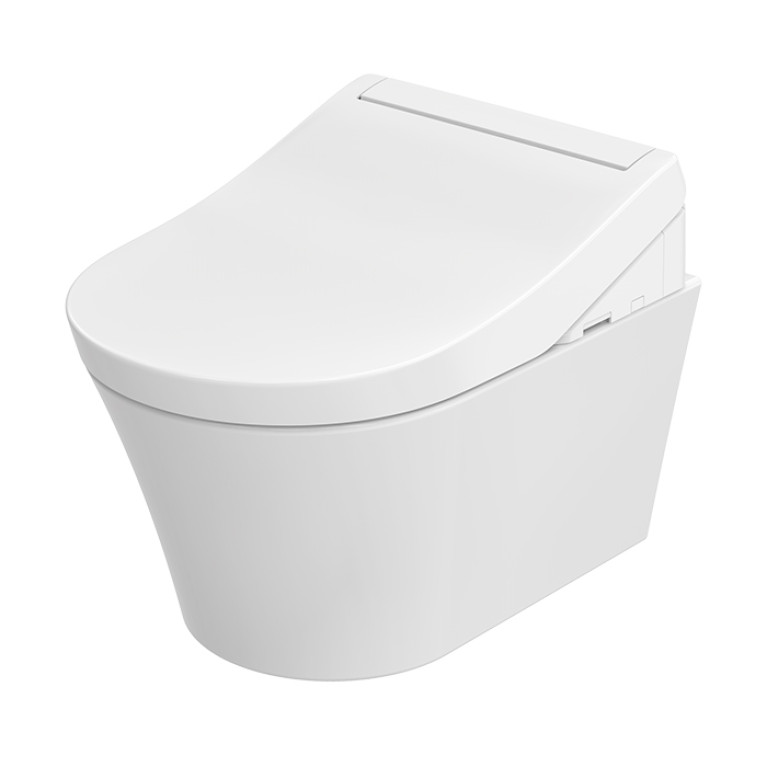 TOTO WASHLET RG Lite Сиденье-вошлет 383х540х130 мм, с пульт д/у, для унитазов CW553Y/552RY/762Y/761Y/763, цвет: белый (ОТКРЫТОЕ подключ. воды/электр)