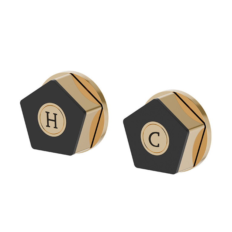 Newform ParkLE Комплект смесителя для душа на 1 поток, с подключением на 1/2&rdquo;, цвет:  PVD glossy gold + черный матовый