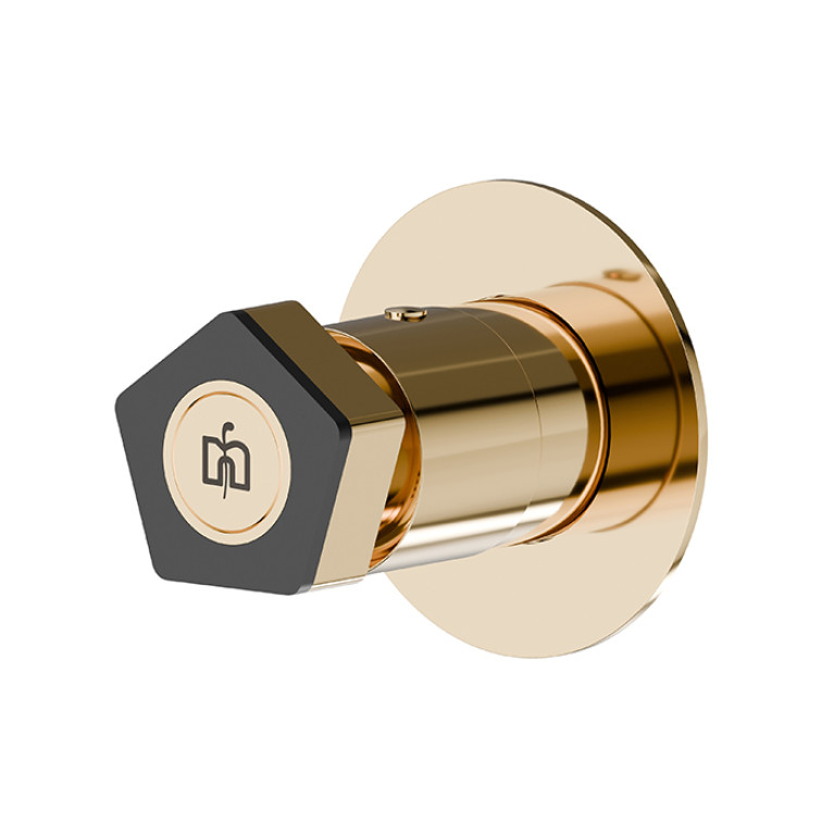 Newform ParkLE Внешняя часть переключателя/запорного вентиля, цвет: PVD glossy gold + черный матовый