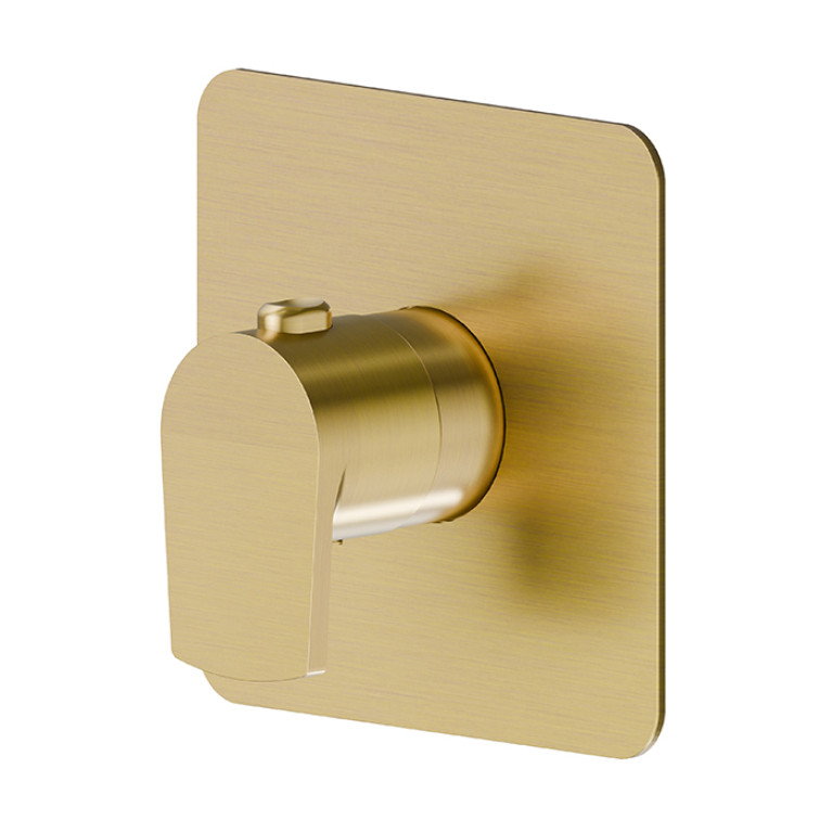 Newform Haka Внешняя часть термостатического смесителя, цвет: PVD brushed gold
