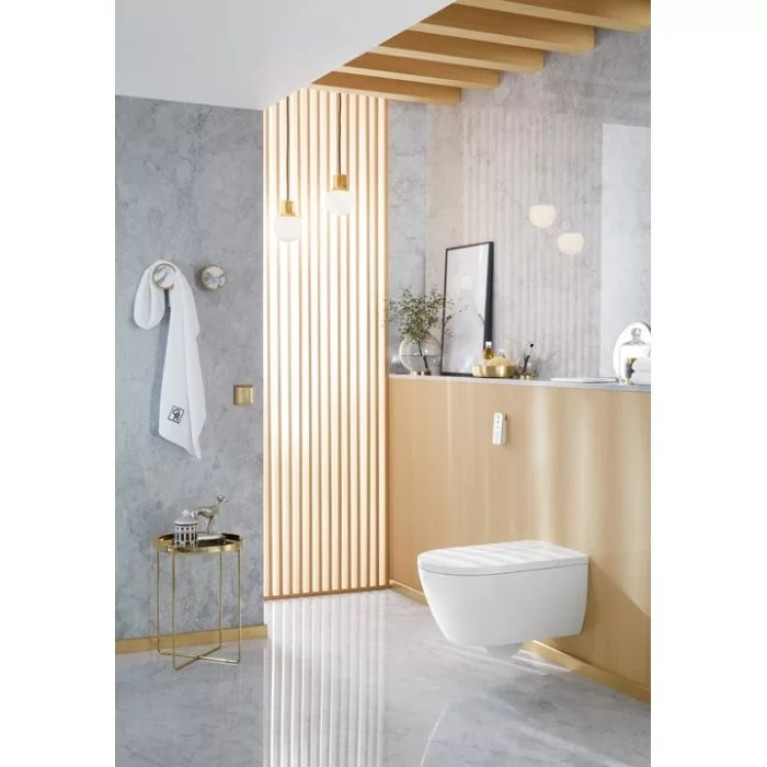 VilleroyBoch Viclean Унитаз-биде подвесной 385*595*360, в комплекте с сиденьем, покрытие CeramicPlus, цвет альпийский белый (временно недоступен!)