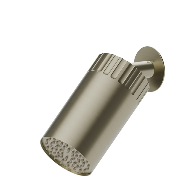 Newform Ionika wellness Настенный душ , режим дождь  &Oslash; 100мм , цвет: PVD brushed pale gold