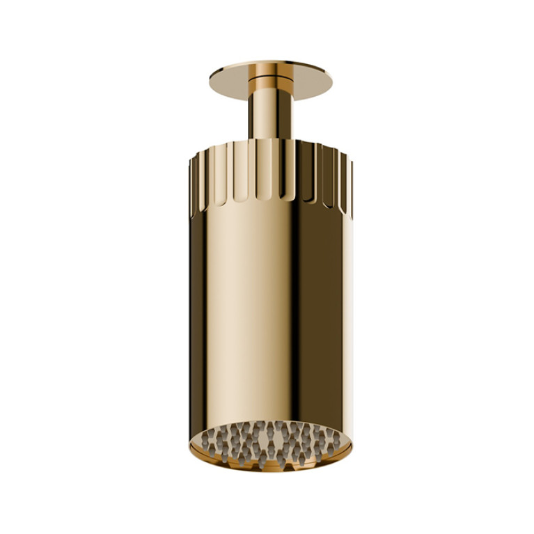 Newform Ionika wellness Потолочный душ , режим дождь  &Oslash; 100мм , цвет: PVD glossy gold