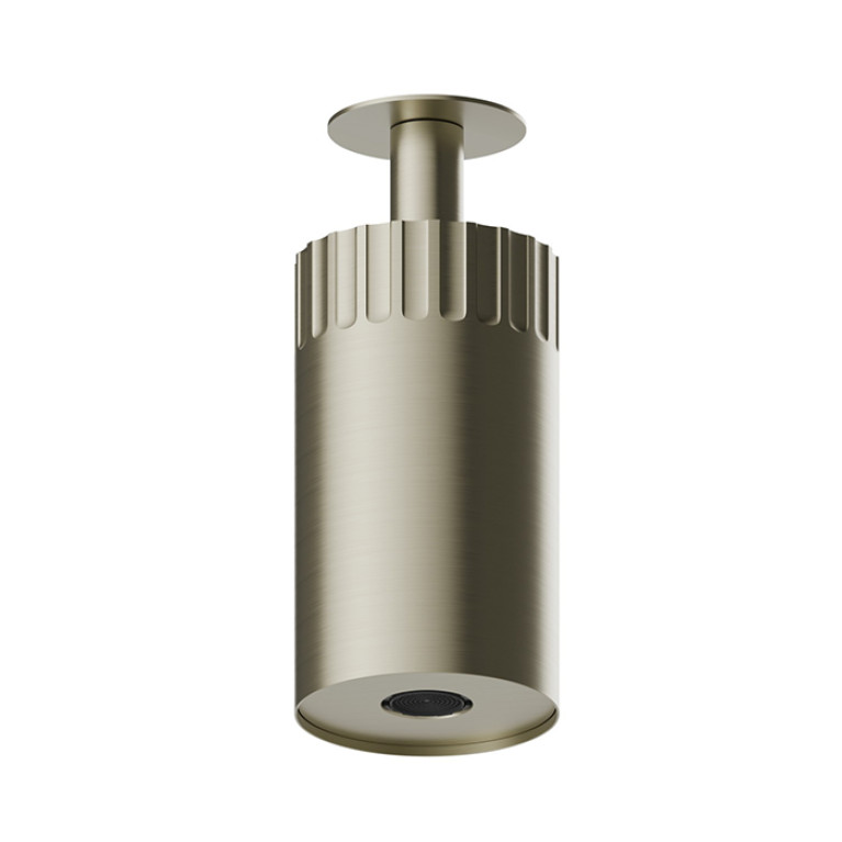 Newform Ionika wellness Потолочный душ 100мм, с ламинарной струей  &Oslash; 100мм , цвет: PVD brushed pale gold