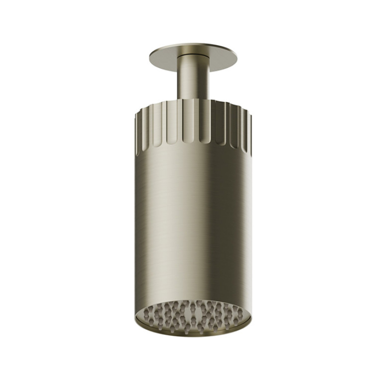Newform Ionika wellness Потолочный душ , режим дождь  &Oslash; 100мм , цвет: PVD brushed pale gold