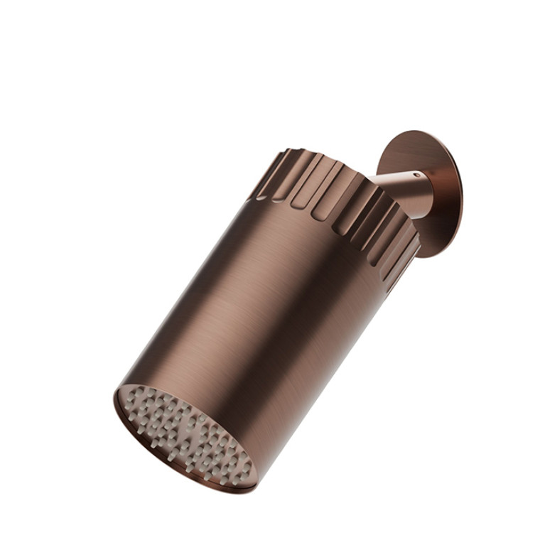 Newform Ionika wellness Настенный душ , режим дождь  &Oslash; 100мм , цвет: PVD brushed copper bronze