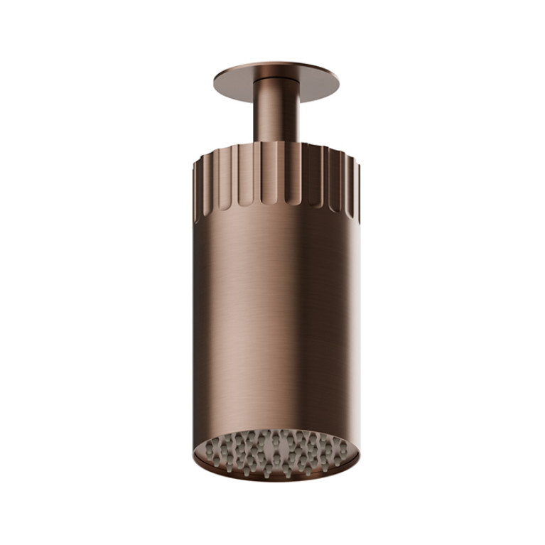 Newform Ionika wellness Потолочный душ , режим дождь  &Oslash; 100мм , цвет: PVD brushed copper bronze