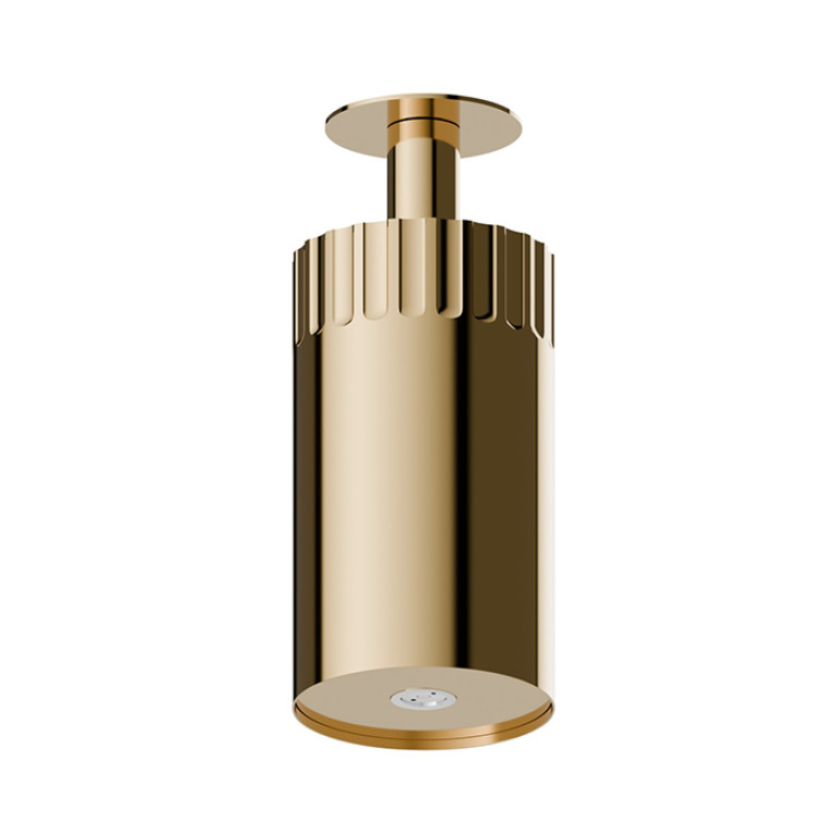 Newform Ionika wellness Потолочный душ 100мм, режим распылитель  &Oslash; 100мм , цвет: PVD glossy gold