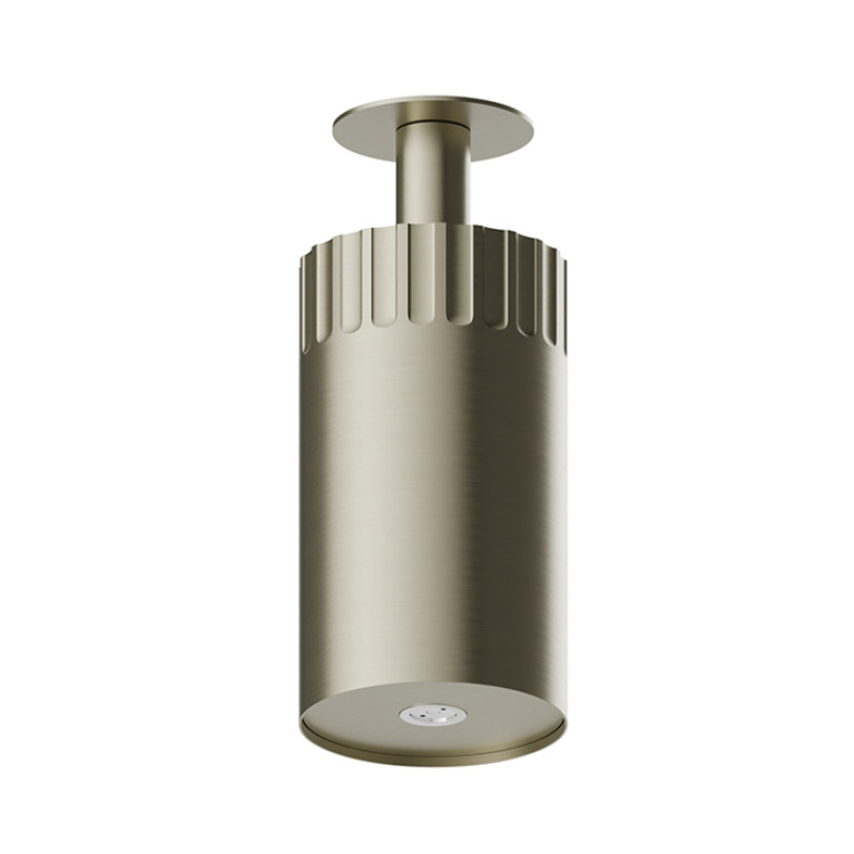 Newform Ionika wellness Потолочный душ 100мм, режим распылитель  &Oslash; 100мм , цвет: PVD brushed pale gold