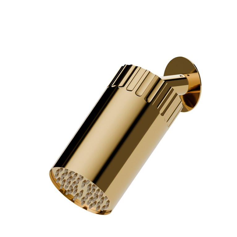 Newform Ionika wellness Настенный душ , режим дождь  &Oslash; 100мм , цвет: PVD glossy gold